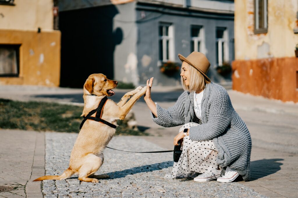 hund och kvinna